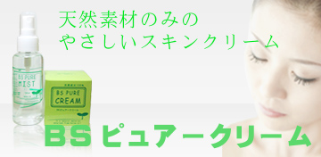 �ӡ������ԥ奢�����꡼��